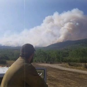 Meet your Posher, Brady